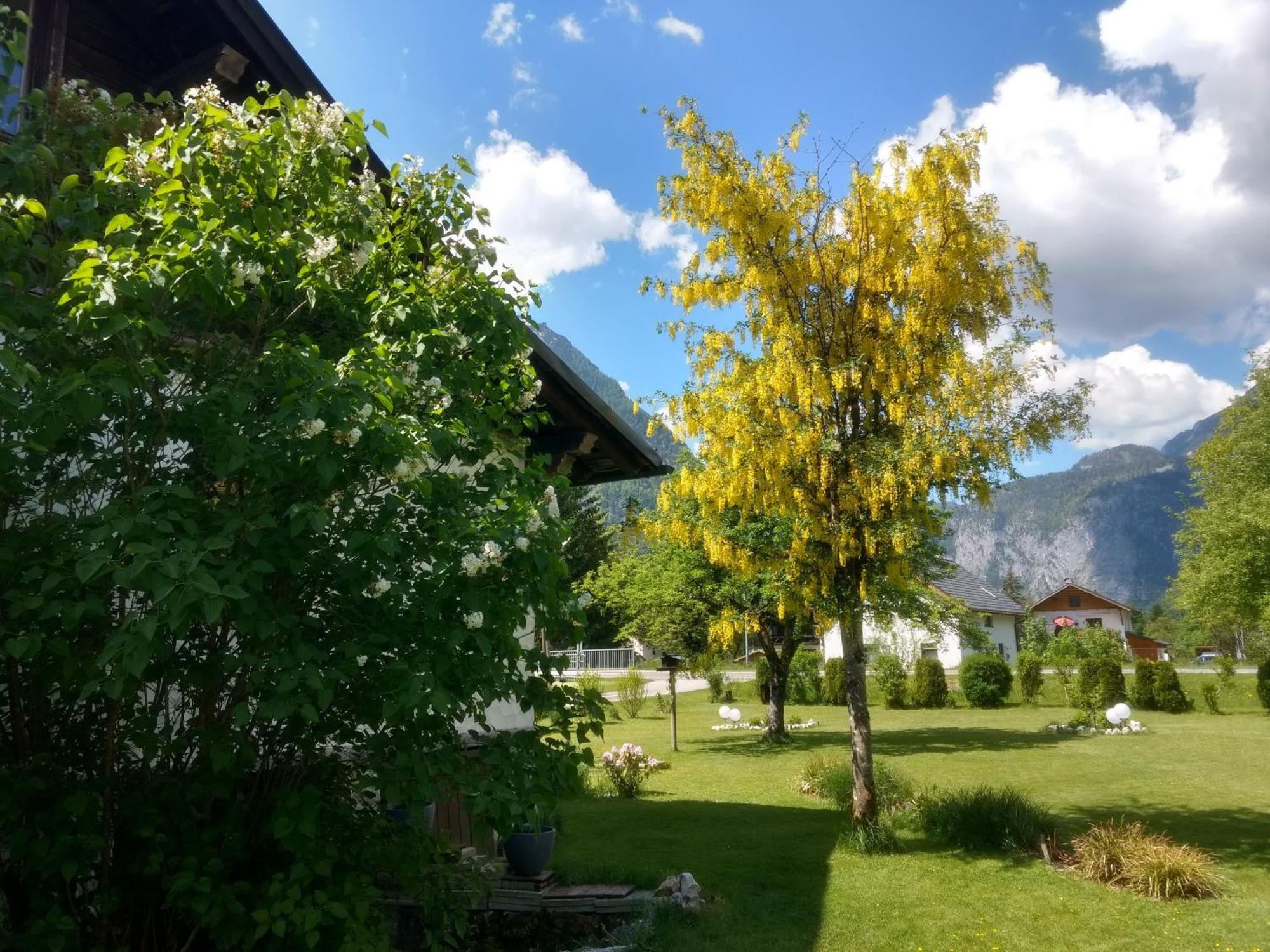 Haus Alpenblick Apartment Obertraun Exterior photo