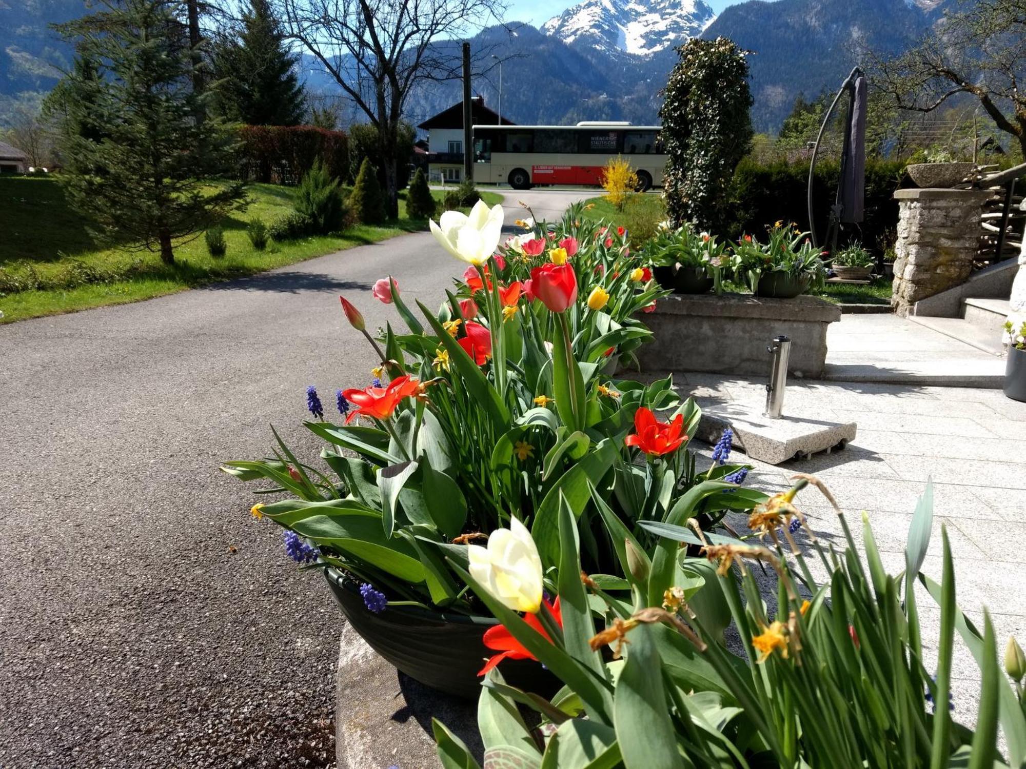 Haus Alpenblick Apartment Obertraun Exterior photo